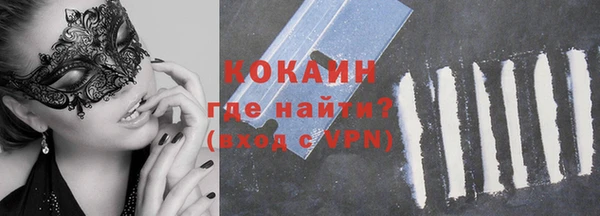 шишки Надым