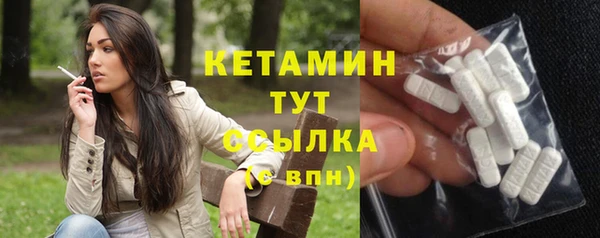 шишки Надым