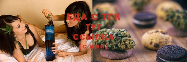 шишки Надым