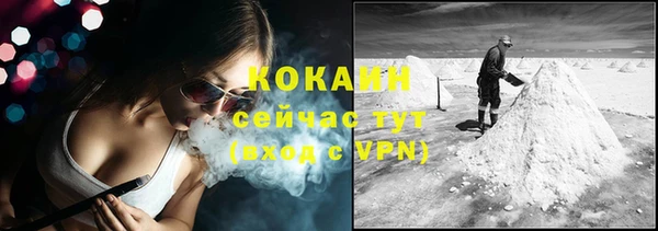 трава Наволоки