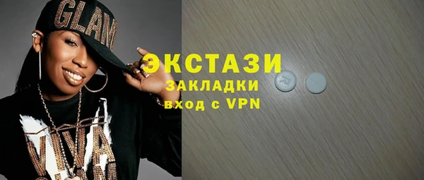шишки Надым