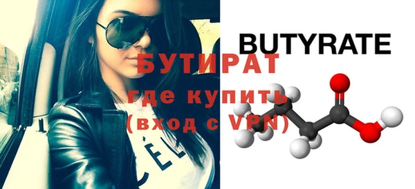 шишки Надым