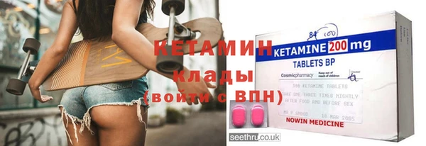 шишки Надым