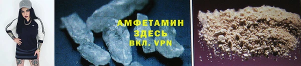трава Наволоки