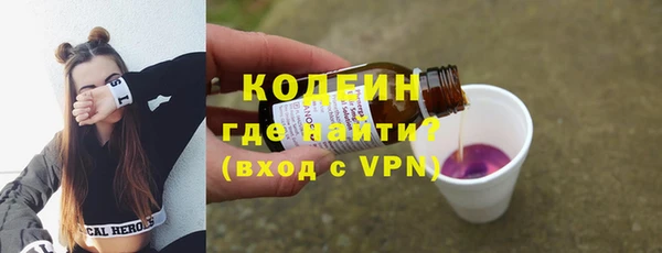 шишки Надым