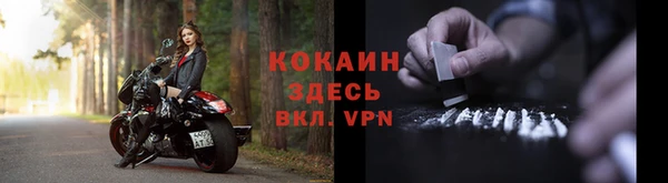 трава Наволоки