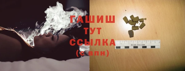 шишки Надым
