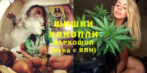 трава Наволоки