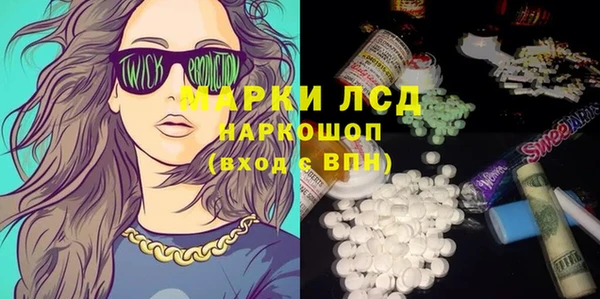 шишки Надым