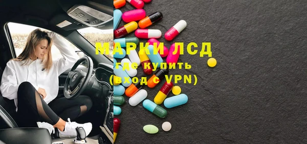 трава Наволоки