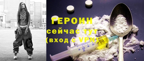 шишки Надым