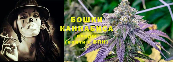 трава Наволоки