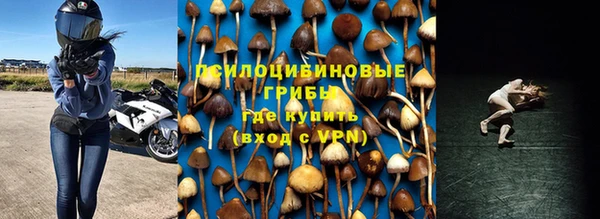 МДПВ Навашино
