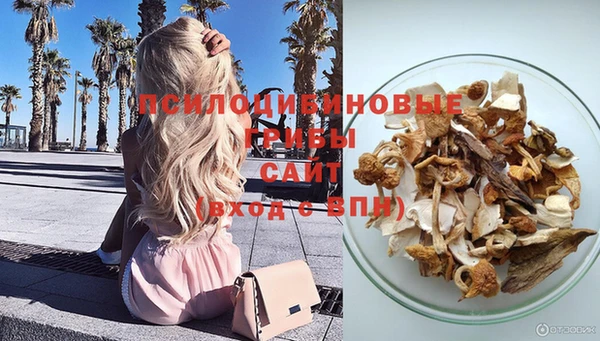 шишки Надым