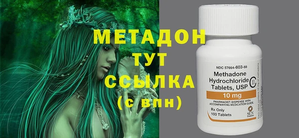 шишки Надым