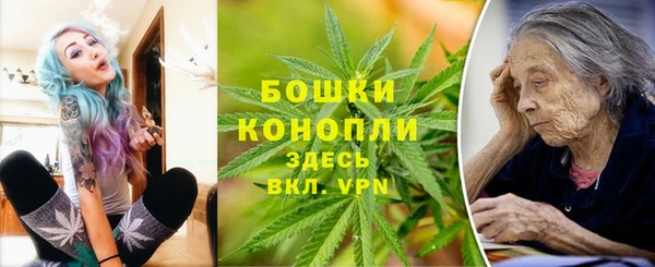 шишки Надым