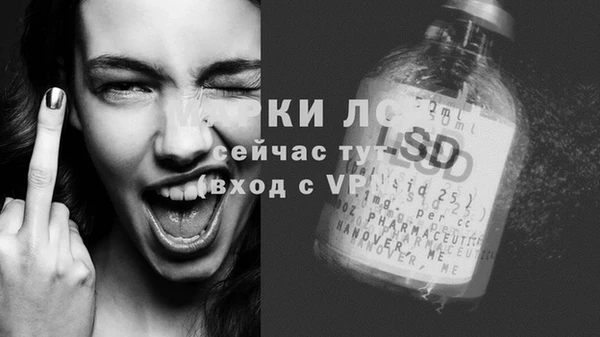 шишки Надым