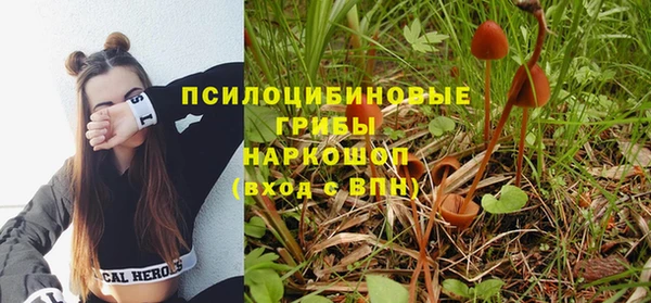 шишки Надым