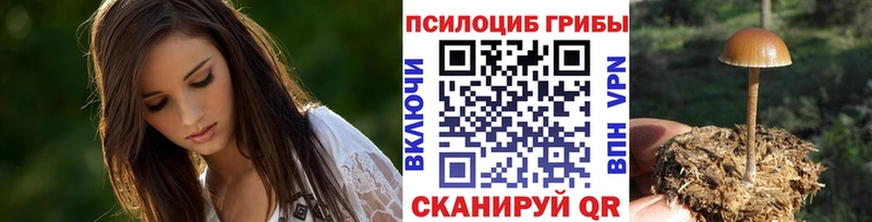 Псилоцибиновые грибы Psilocybine cubensis  купить   Абаза 